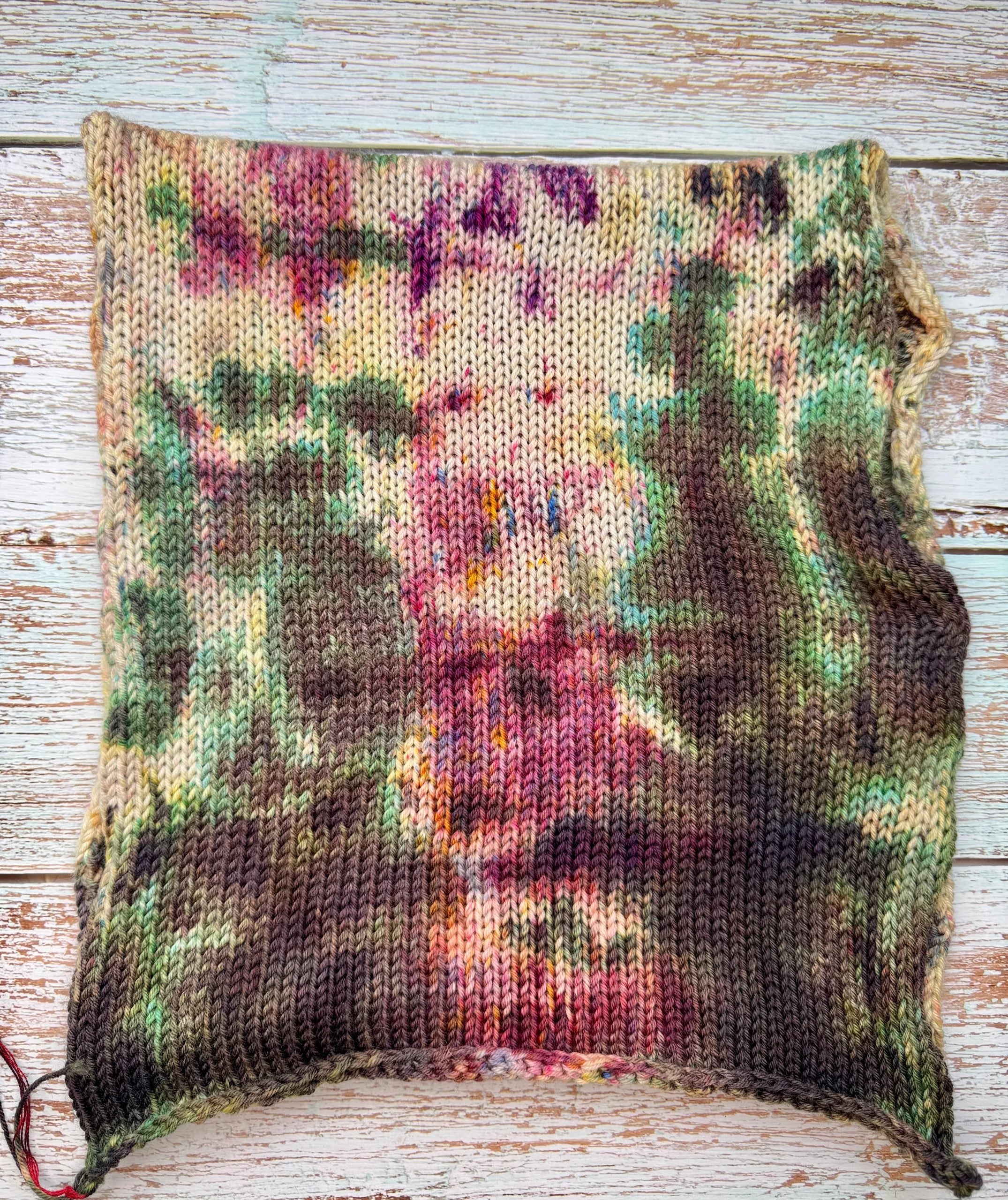 Sock blank •Alchemist&Rosa•
