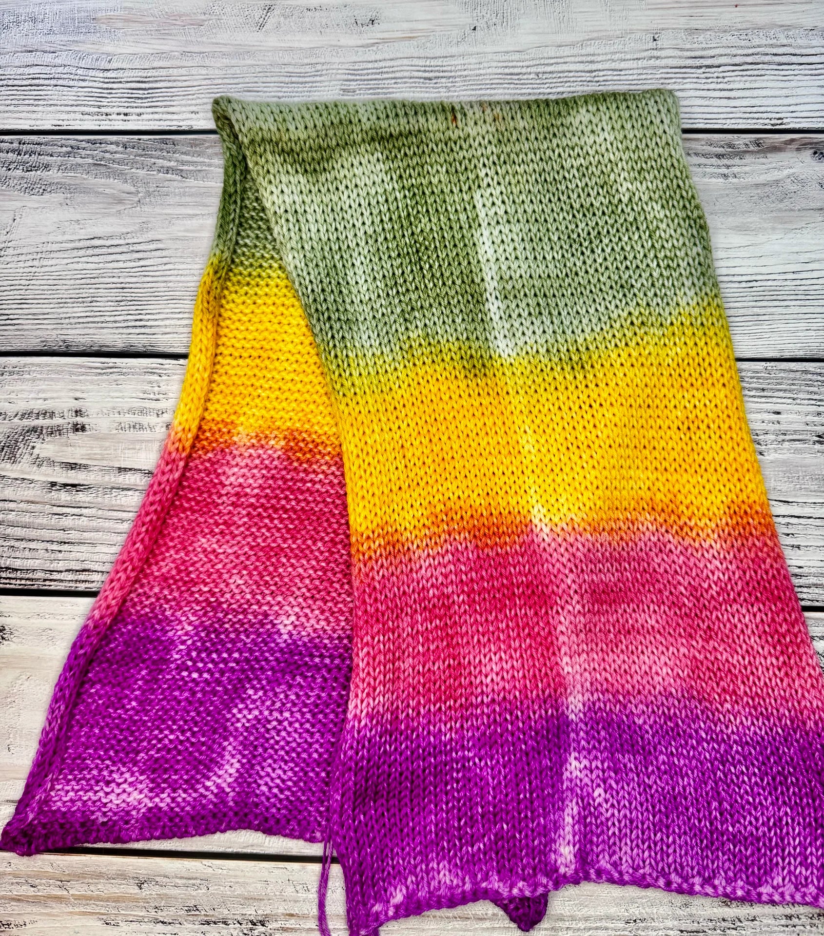 Sock blank •Palm Vines•
